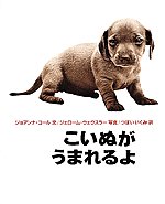 書影