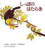 書影