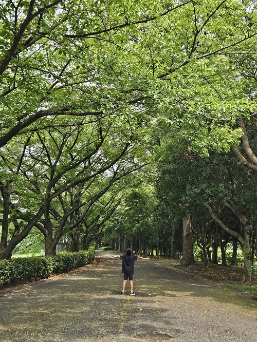 弐の画像
