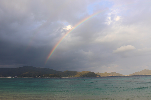 【柿野】奄美大島 写真