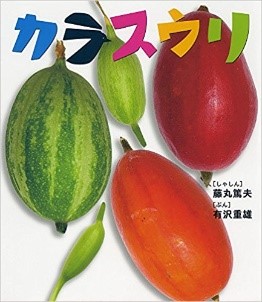 書影