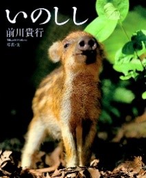 書影