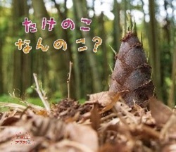 書影