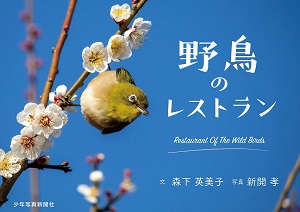 書影