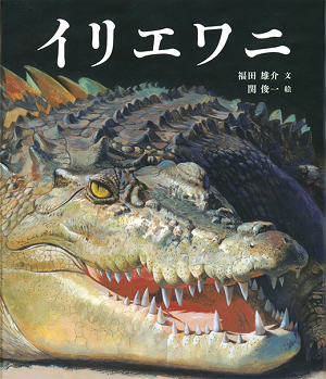 書影