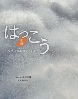 書影