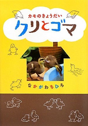 書影