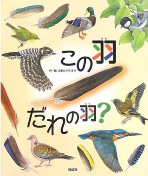書影