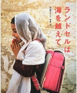 書影