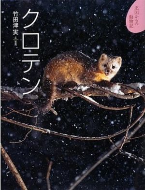 書影