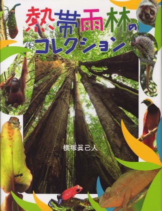 書影