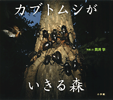 書影
