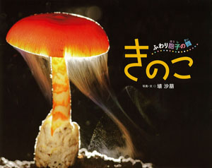 書影