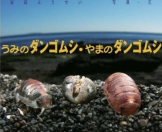 書影