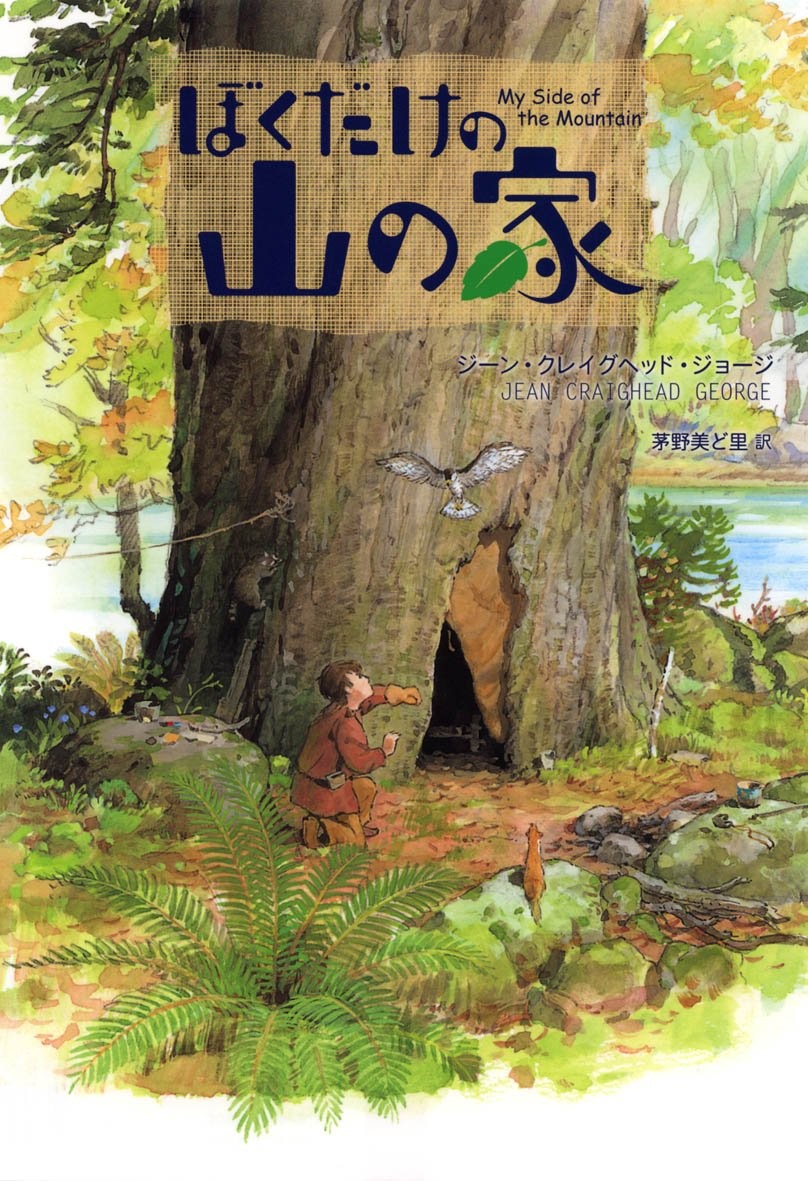書影