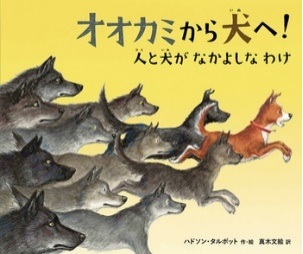書影