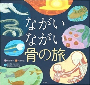 書影