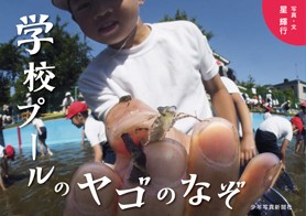 書影