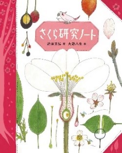 書影