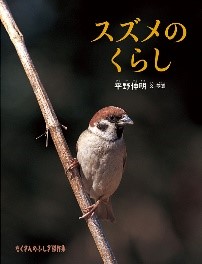 書影