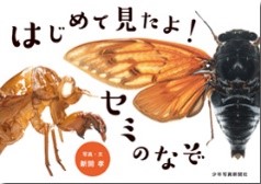 書影