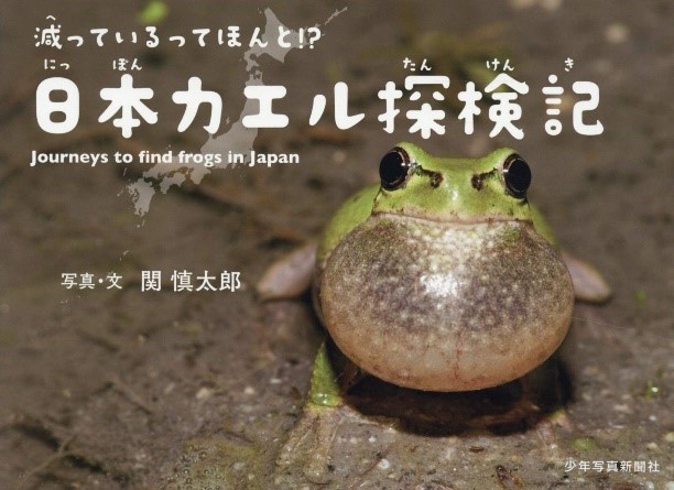 書影
