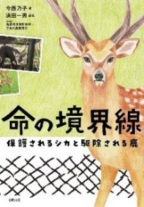 書影
