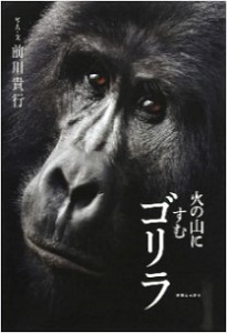 書影