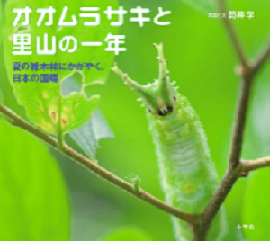 書影