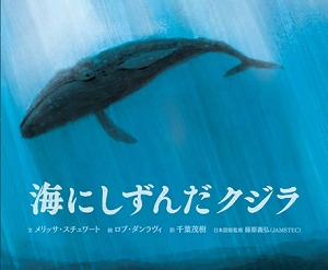 書影