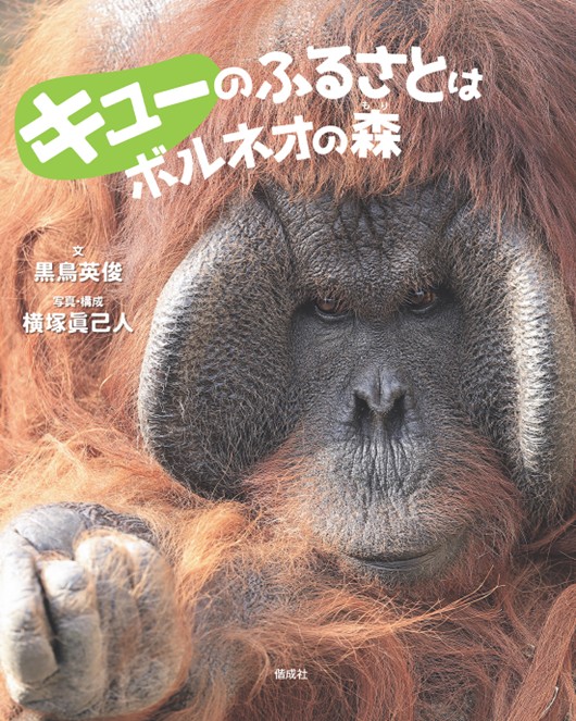 yomu456_no65_6.jpg